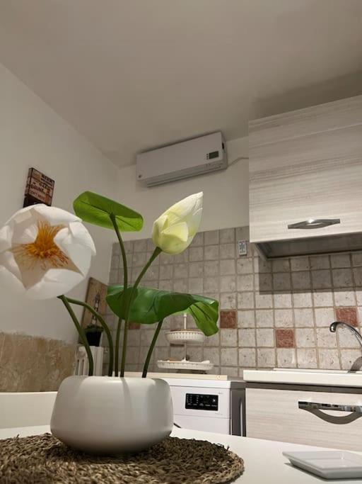 Casa Vacanze “Da Concetta” Bari Esterno foto